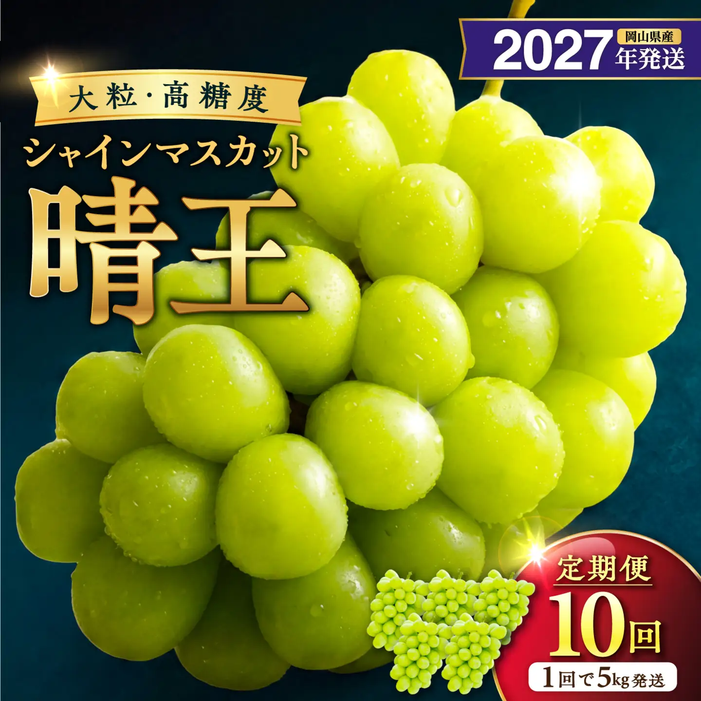2027年発送 定期便 岡山県産 シャインマスカット 晴王 秀品 大房 約5kg・5～9房目安×10回発送【シャインマスカット】