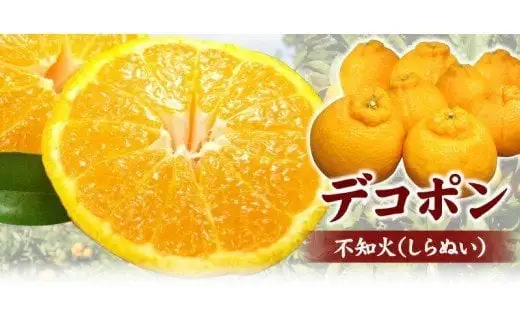  デコ不知火 約2.8kg サイズおまかせ / デコポン 不知火 みかん 蜜柑 柑橘 果物 フルーツ 紀伊国屋文左衛門本舗 ※2027年2月上旬～4月上旬頃順次発送予定(お届け日指定不可)　【kmtb010-r-2d8】