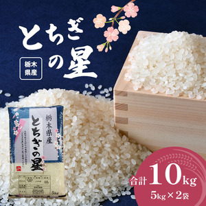 栃木県産とちぎの星 10kg | お米 米 こめ おにぎり ごはん ご飯 令和6年産 栃木県 真岡市 ブランド米 栃木県共通返礼品