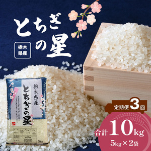 【定期便3回】栃木県産とちぎの星 10kg| お米 米 こめ おにぎり ごはん ご飯 令和6年産 栃木県 真岡市 ブランド米 栃木県共通返礼品