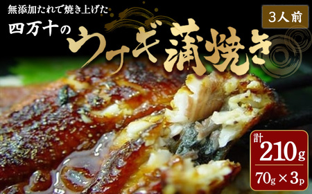四万十のうなぎ蒲焼（3人前） 冷凍 特大 たれ付き うなぎ うなぎ蒲焼 高知うなぎ 国産うなぎ うな重 鰻 国産鰻 高知鰻 冷凍鰻 鰻蒲焼 四万十うなぎ ／Ess-B07
