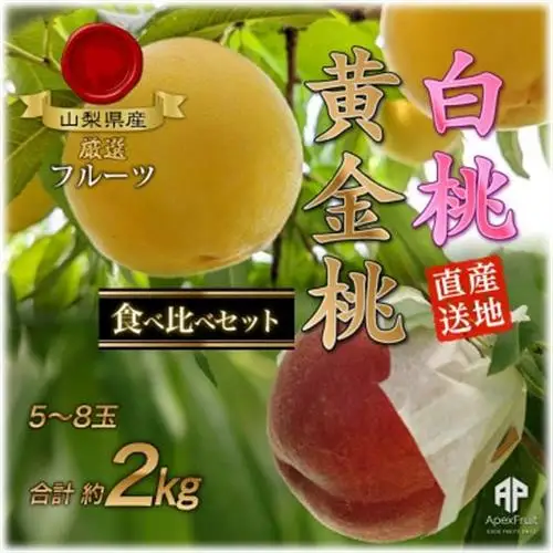 【2027年発送先行受付】山梨市産　白桃と黄金桃の食べ比べセット　約2kg(5～8玉)【配送不可地域：離島】【1431881】
