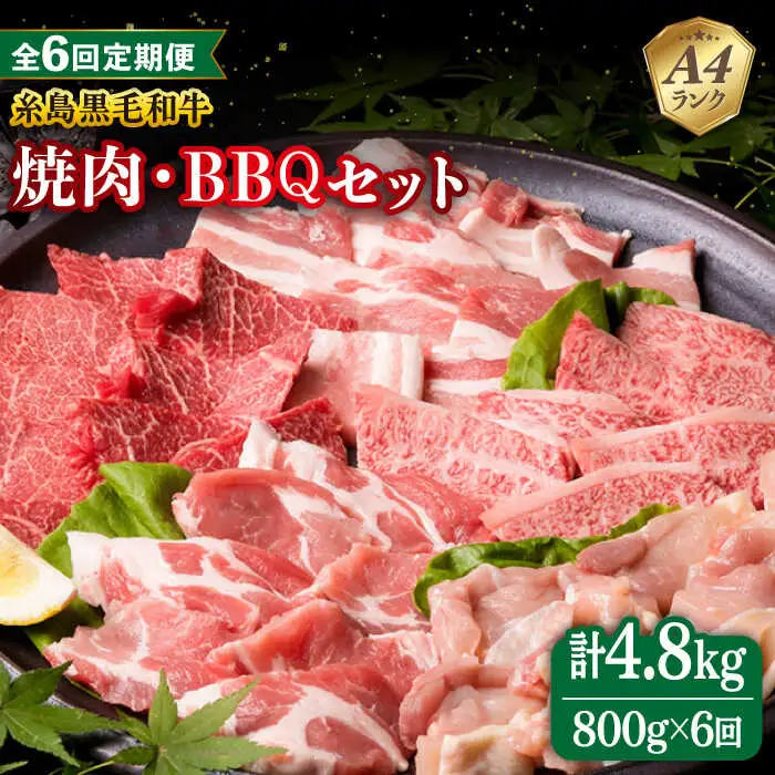 【全6回定期便】焼肉・バーベキュー セット 計800g 牛モモ 牛バラ 豚バラ 豚肩ロース 鶏もも肉  糸島市/糸島ミートデリ工房 [ACA273]