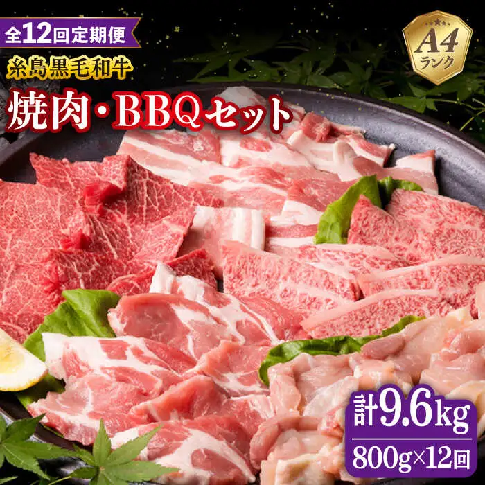 【全12回定期便】焼肉・バーベキュー セット 計800g 牛モモ 牛バラ 豚バラ 豚肩ロース 鶏もも肉 糸島市/糸島ミートデリ工房 [ACA274]