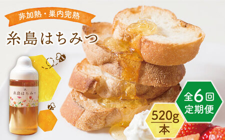 【全6回定期便】糸島 はちみつ 520g 糸島市 / ヴァンベールフーズ /百花 / 蜂蜜 [AFJ006]