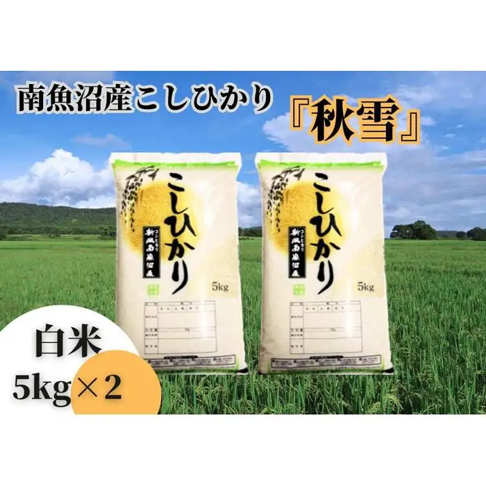 【令和8年 新米予約】南魚沼産こしひかり「秋雪」白米10kg 新潟県の特A地区南魚沼市の美味しいお米【2026年10月上旬より1ヶ月以内に順次発送予定】｜こしひかり
