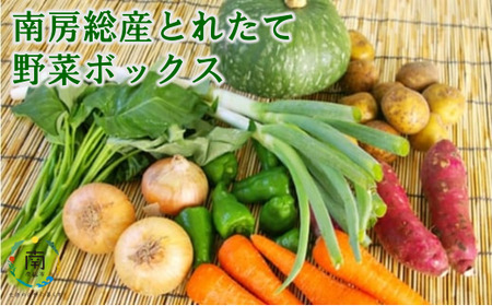 南房総産とれたて野菜ボックス mi0012-0130