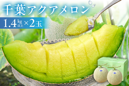 【TVで紹介！】千葉アクアメロン(マスクメロン)2玉【まとめてお届け】 mi0018-0003