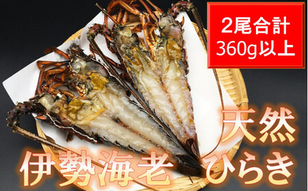 千葉県産　天然伊勢えびひらき2尾（2尾で360g以上） mi0022-0017