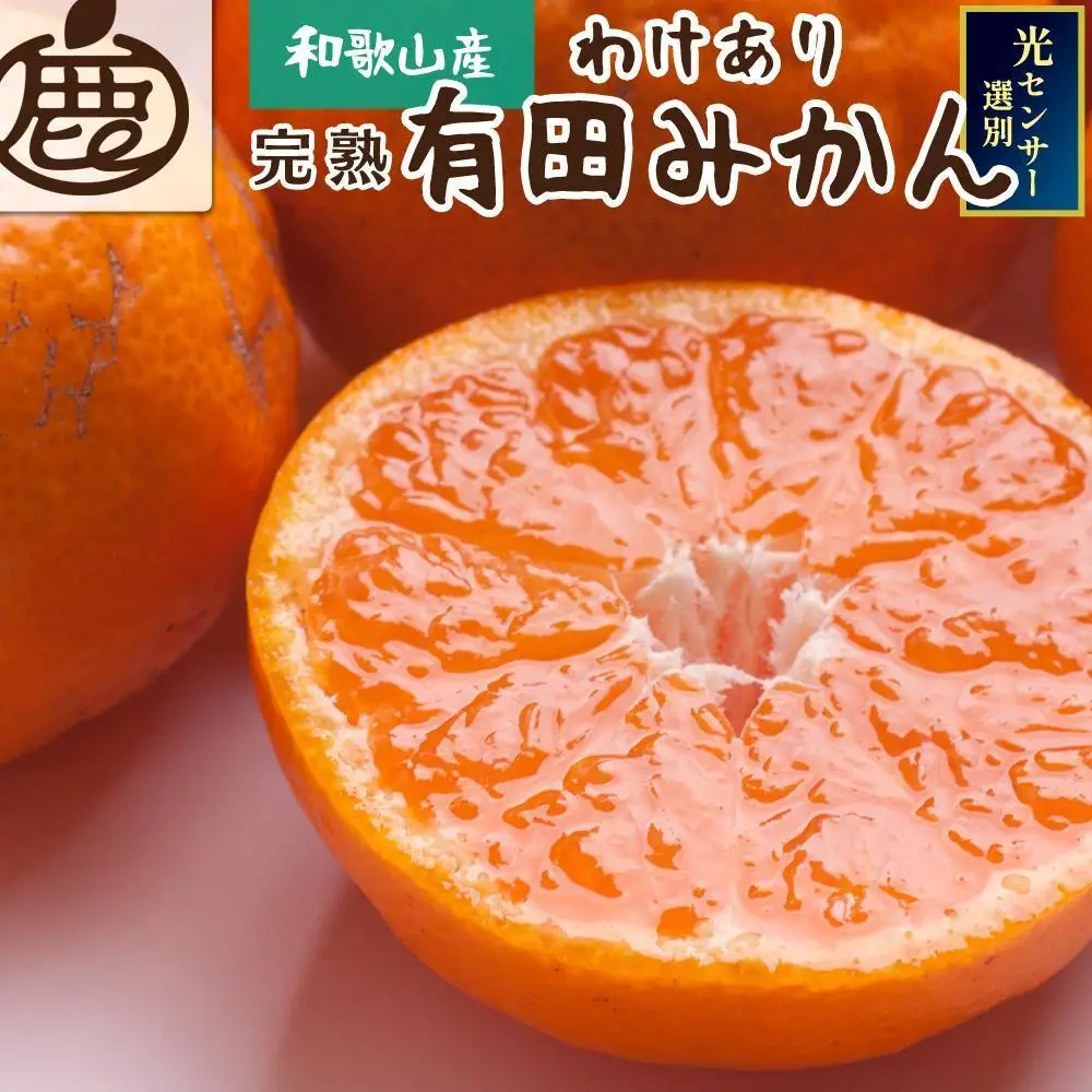 ［先行予約］家庭用 有田みかん（完熟）1kg+250g（傷み補償分）