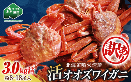 【訳あり】北海道噴火湾産 活オオズワイガニ 3.0kg ＜道産ネットミツハシ＞ かに カニ 蟹 ガニ がに 森町 ふるさと納税 北海道 ずわいがに mr1-0451-5