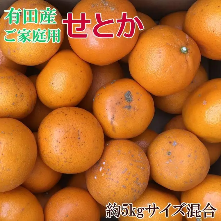 (訳あり・ご家庭用)一度は食べていただきたい「有田産のせとか」約5kg★2027年2月中旬頃より順次発送