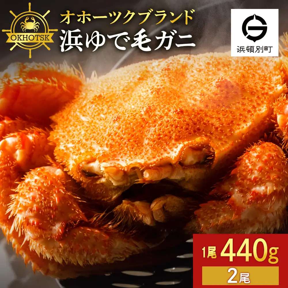 ☆北海道産 毛ガニ 約440g×2尾 セット