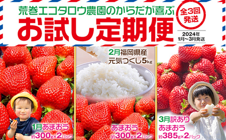 荒巻エコタロウ農園のからだが喜ぶお試し定期便(2025年1月～3月発送)　BJ07