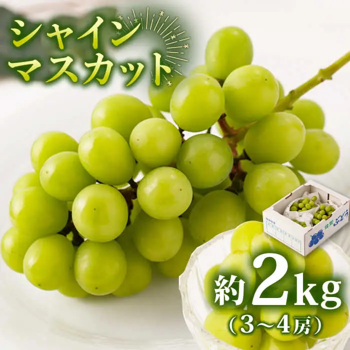 シャインマスカット 約2kg 九州産シャインマスカット /菓子工房ピュアハート [UDF002]