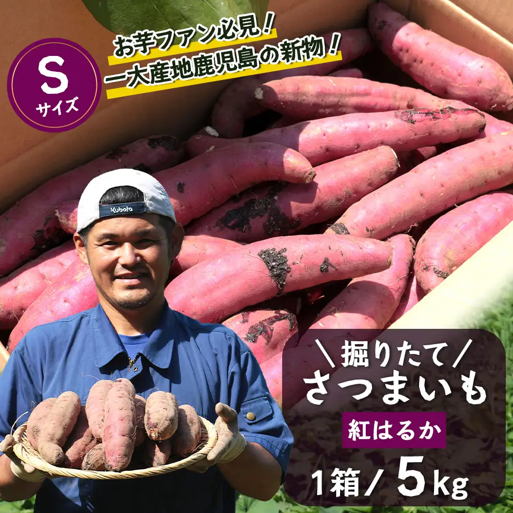 【先行予約：2026年9月中旬配送～】掘りたて さつまいも 紅はるか 5kg Sサイズ (おすそ分け袋／自宅で簡単レシピ付き）FR-202 | 秋の味覚 2026年秋収穫 新物 さつまいも サツマイモ 感動サツマイモ 焼き芋 べにはるか 小ぶり 野菜 おやつ おかず お弁当 煮物 芋ごはん 味噌汁 産地直送 鹿児島県 南大隅町 株式会社フォレスト