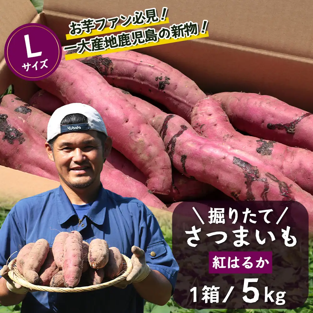 【先行予約：2026年9月中旬配送～】掘りたて さつまいも 紅はるか 5kg Lサイズ (おすそ分け袋／自宅で簡単レシピ付き）FR-532 | 秋の味覚 2026年秋収穫 新物 さつまいも サツマイモ 感動サツマイモ 焼き芋 べにはるか 大きめ 野菜 おやつ おかず お弁当 煮物 芋ごはん 味噌汁 産地直送 鹿児島県 南大隅町 株式会社フォレスト