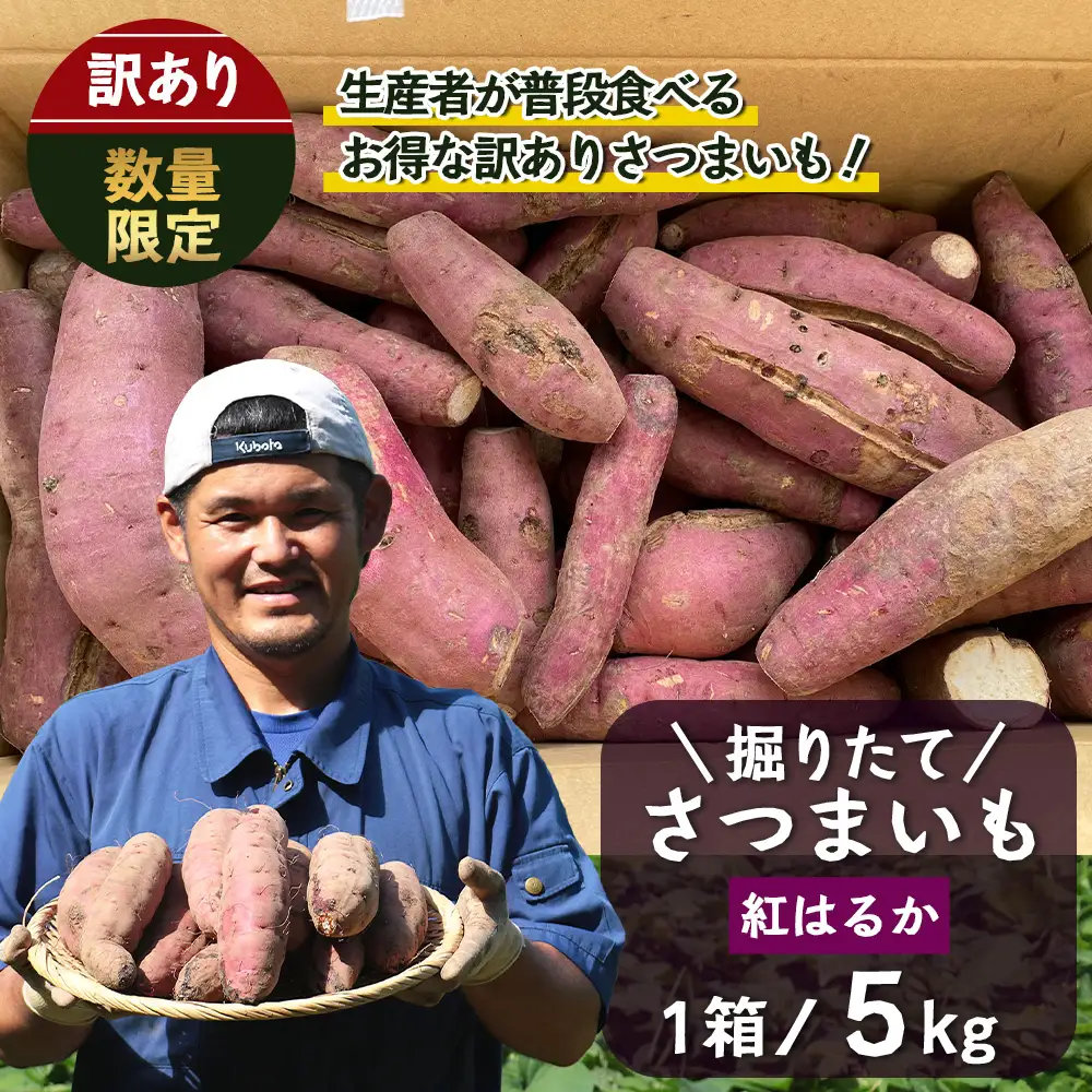 【訳あり！】【先行予約：9月中旬配送～】掘りたて さつまいも 紅はるか 5kg (自宅で簡単レシピ付き）FR-207 | 秋の味覚 2026年秋収穫 サイズランダム 家庭用 新物 さつまいも サツマイモ 感動サツマイモ 焼き芋 べにはるか 野菜 おやつ おかず お弁当 煮物 芋ごはん 味噌汁 産地直送 鹿児島県 南大隅町 株式会社フォレスト