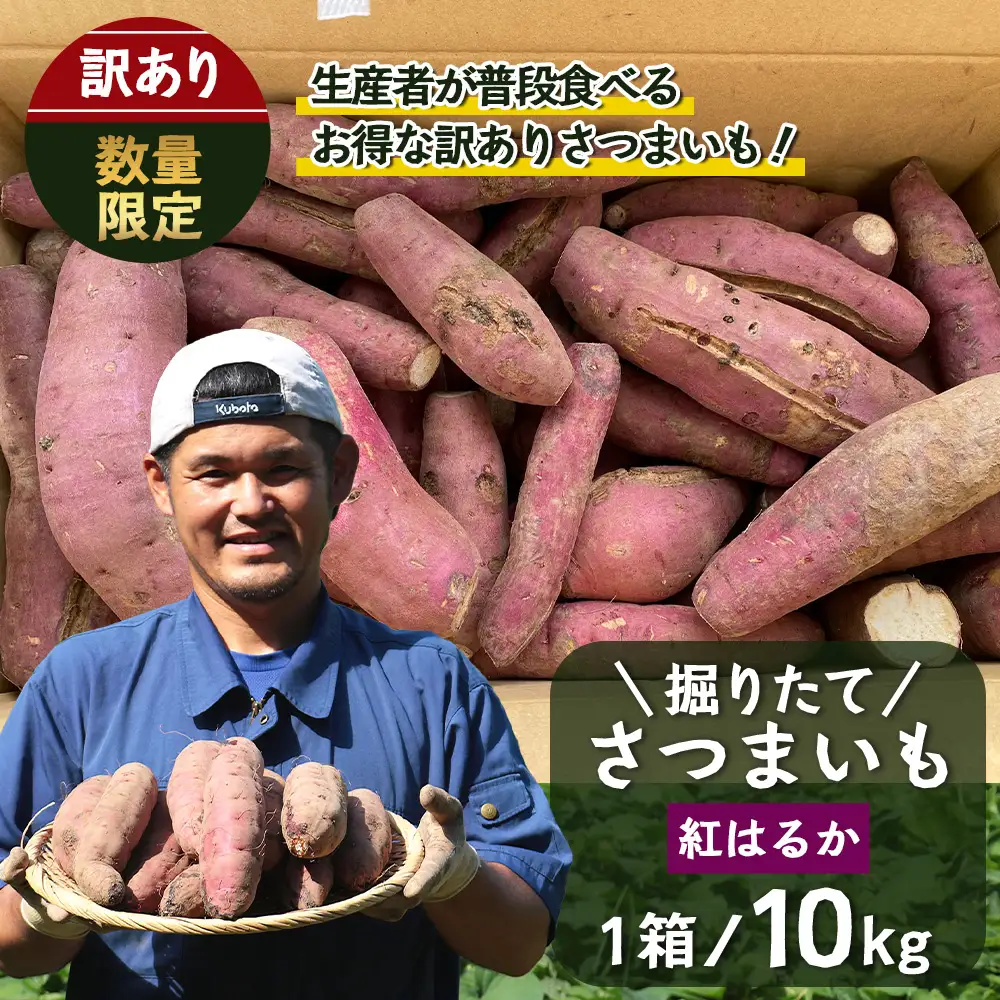 【訳あり！】【先行予約：9月中旬配送～】掘りたて さつまいも 紅はるか 10kg (自宅で簡単レシピ付き）FR-208 | 秋の味覚 2026年秋収穫 サイズランダム 家庭用 新物 さつまいも サツマイモ 感動サツマイモ 焼き芋 べにはるか 野菜 おやつ おかず お弁当 煮物 芋ごはん 味噌汁 産地直送 鹿児島県 南大隅町 株式会社フォレスト