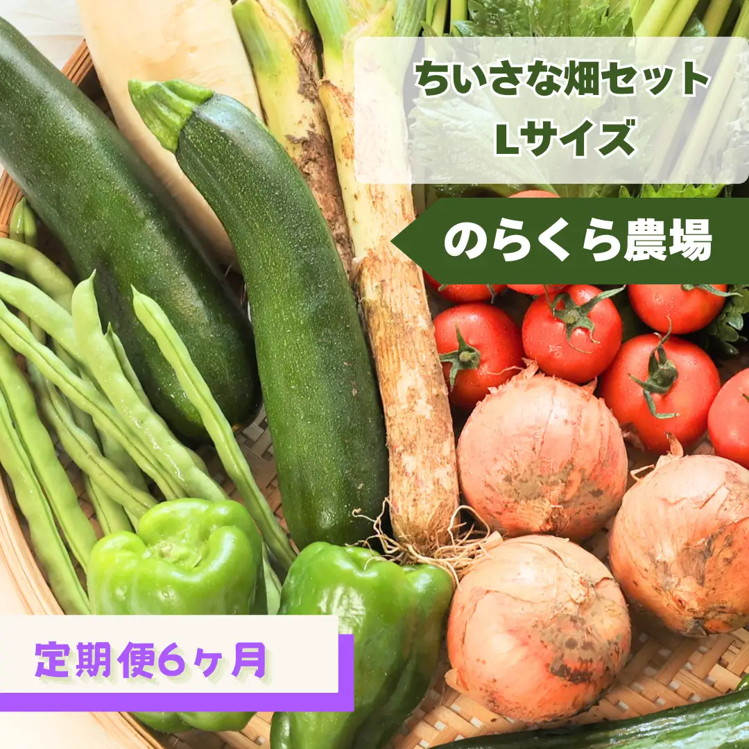 定期便６カ月　ちいさな畑セット（Lサイズ　３～４人前）（NK-T508）