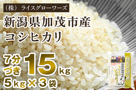 【令和8年産新米先行予約】7分づき 新潟県 加茂市産 特別栽培米コシヒカリ 15kg（5kg×3）《10月上旬～順次出荷》 （株）ライスグローワーズ