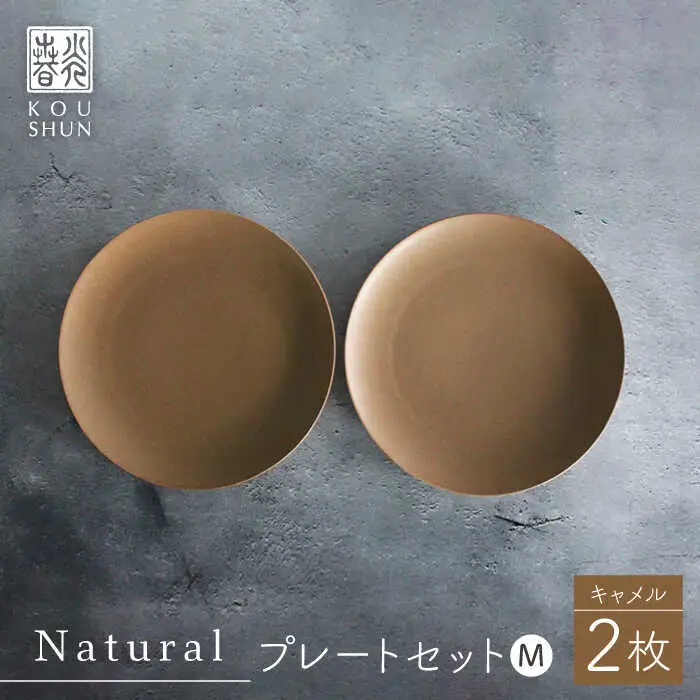 【波佐見焼】Naturalシリーズ プレート M 2枚セット(キャメル）皿 マット【光春窯】[XD94] 波佐見焼