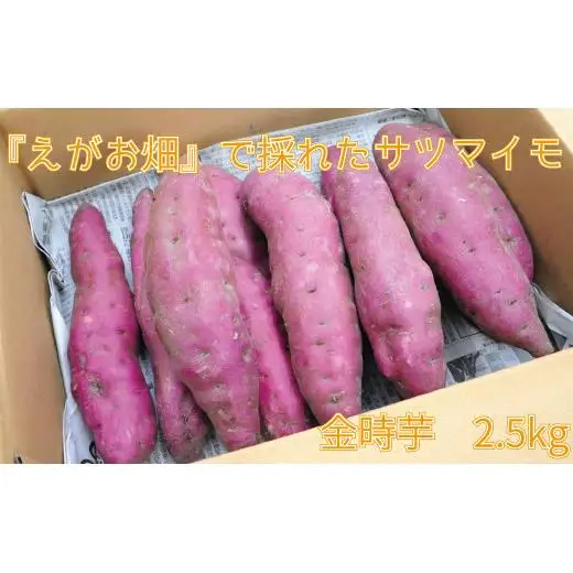 『えがお畑』で採れたサツマイモ金時芋 2.5kg