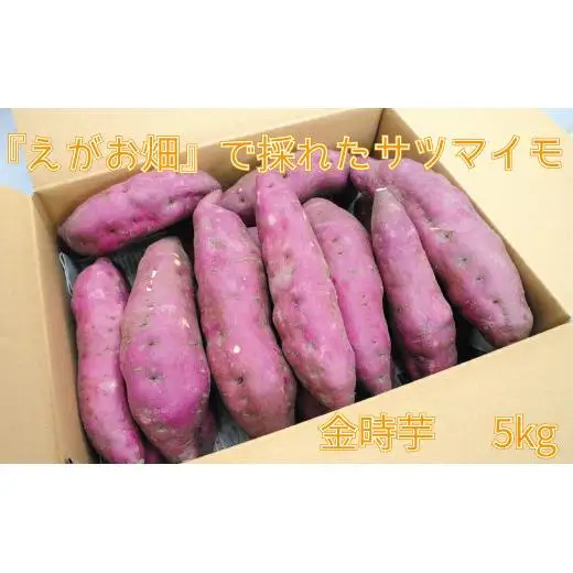 『えがお畑』で採れたサツマイモ金時芋 5kg