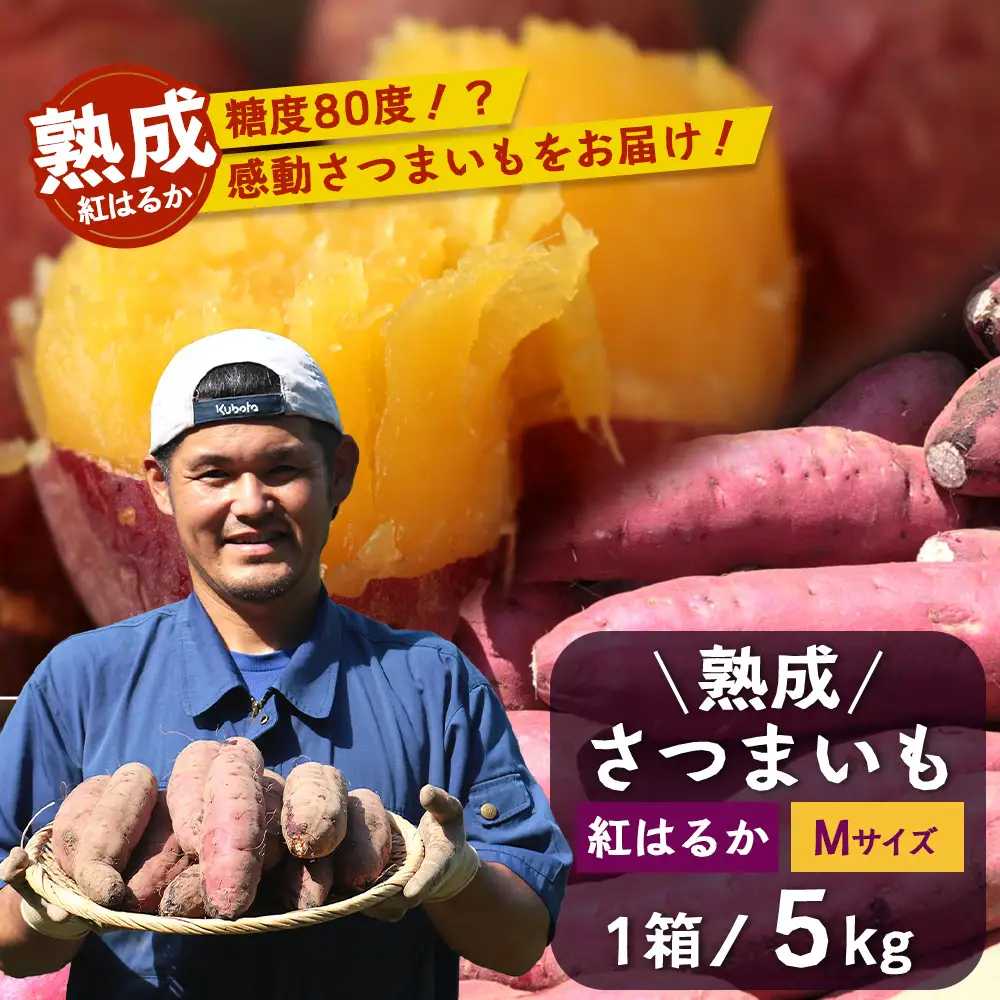【先行予約：11月下旬配送～】熟成 さつまいも 紅はるか 5kg Mサイズ (おすそ分け袋／美味しい焼き芋の焼き方 説明書付き） FR-214 ｜ 秋の味覚 2026年秋収穫 貯蔵 長期熟成 糖化 さつまいも サツマイモ 感動サツマイモ 焼き芋 べにはるか 使いやすい 野菜 ねっとり 濃厚 おやつ おかず お弁当 煮物 芋ごはん 味噌汁 産地直送 鹿児島県 南大隅町 株式会社フォレスト