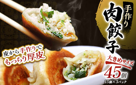 肉餃子45個(15個×3)  冷凍餃子 ギョーザ ぎょうざ 中華 簡単調理 小分け 冷凍食品 焼くだけ 惣菜 冷凍 肉 豚肉【2026年9月上旬迄発送】