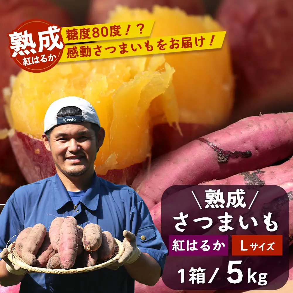 【先行予約：11月下旬配送～】熟成 さつまいも 紅はるか 5kg Lサイズ (おすそ分け袋／美味しい焼き芋の焼き方 説明書付き） FR-216 ｜ 秋の味覚 2026年秋収穫 貯蔵 長期熟成 糖化 さつまいも サツマイモ 感動サツマイモ 焼き芋 べにはるか 大きめ 野菜 ねっとり 濃厚 おやつ おかず お弁当 煮物 芋ごはん 味噌汁 産地直送 鹿児島県 南大隅町 株式会社フォレスト