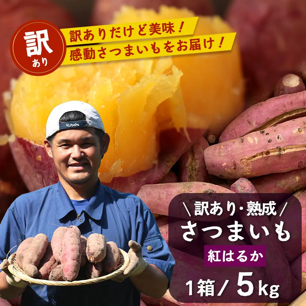 【訳あり！】【先行予約：11月下旬配送～】熟成 さつまいも 紅はるか 5kg (美味しい焼き芋の焼き方 説明書付き） FR-217｜秋の味覚 2026年秋収穫 サイズランダム 家庭用 貯蔵 糖化 さつまいも サツマイモ 感動サツマイモ 焼き芋 べにはるか 野菜 ねっとり 濃厚 おやつ おかず お弁当 煮物 芋ごはん 味噌汁 産地直送 鹿児島県 南大隅町 株式会社フォレスト