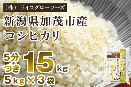【令和8年産新米先行予約】5分づき 新潟県 加茂市産 特別栽培米コシヒカリ 15kg（5kg×3）《10月上旬～順次出荷》 （株）ライスグローワーズ