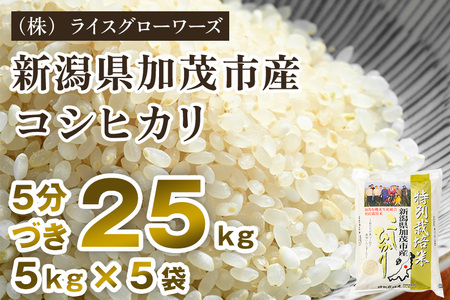【令和8年産新米先行予約】5分づき 新潟県 加茂市産 特別栽培米コシヒカリ 精米25kg（5kg×5）《10月上旬～順次出荷》 （株）ライスグローワーズ