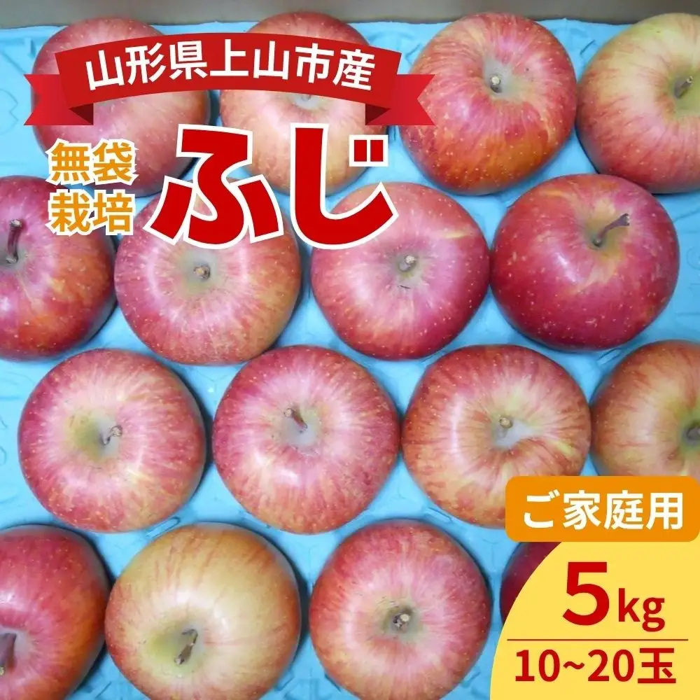 りんご（ふじ）５ｋｇ　ご家庭用　0017-2645