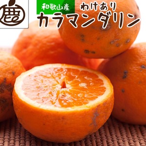 カラマンダリン5kg+250g 傷み補償分