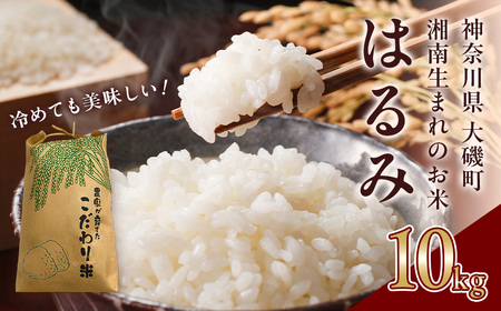  【R8年新米10kg】湘南生まれのお米「はるみ」〈出荷時期:2026年9月12日出荷開始～2026年12月26日出荷終了〉【 神奈川県 大磯町 米 お米 白米 白飯 コシヒカリ キヌヒカリ 交配種 甘み 期間限定 】