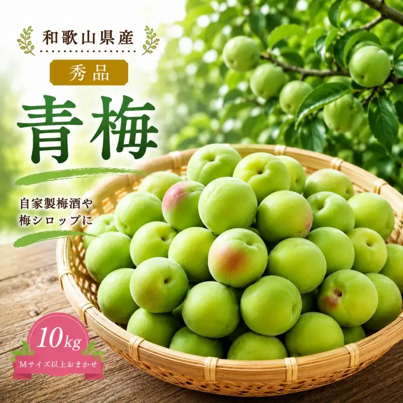青梅 10kg 秀品 Mサイズ 以上 サイズおまかせ / 梅酒 梅ジュース 梅 和歌山 梅干し 梅シロップ 和歌山県産 ※2027年6月下旬～7月上旬に順次発送 ※北海道・沖縄・離島への配送不可【frt508-r-10B】