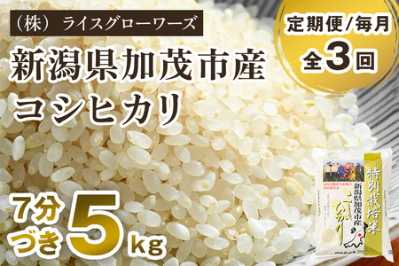【令和8年産新米先行予約】【定期便3ヶ月毎月お届け】【7分づき】新潟県加茂市産 特別栽培米コシヒカリ 精米5kg《10月上旬～順次出荷》 従来品種コシヒカリ （株）ライスグローワーズ