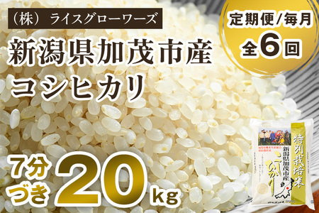 【令和8年産新米先行予約】【定期便6ヶ月毎月お届け】【7分づき】新潟県加茂市産 特別栽培米コシヒカリ 精米20kg（5kg×4）《10月上旬～順次出荷》 従来品種コシヒカリ （株）ライスグローワーズ