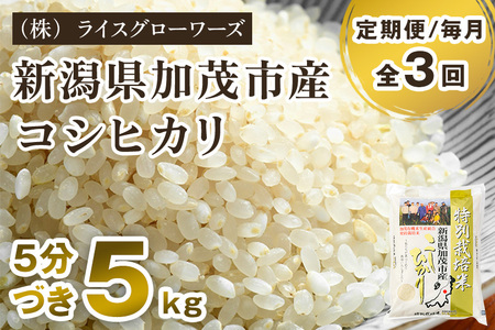 【令和8年産新米先行予約】【定期便3ヶ月毎月お届け】【5分づき】新潟県加茂市産 特別栽培米コシヒカリ 精米5kg《10月上旬～順次出荷》 従来品種コシヒカリ （株）ライスグローワーズ