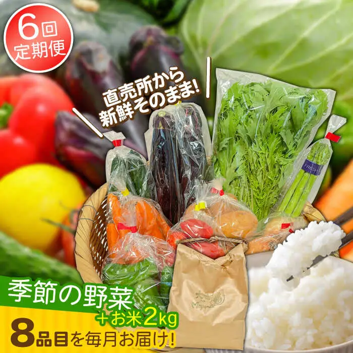 【6回定期便】直売所より発送！お米と季節の野菜セット 8品目 / 米 こめ 白米 野菜定期便 やさい定期便 野菜 やさい 旬 詰め合わせ / 南島原市 / ながさき南部生産組合 [SBW014]
