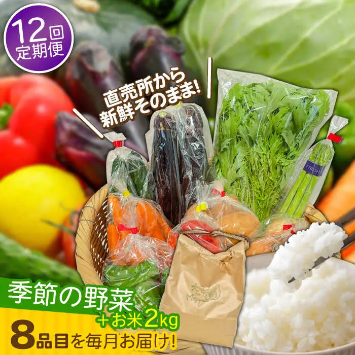 【12回定期便】野菜定期便 お米と季節のやさい 8品目 野菜 定期便 / ながさき南部 [SBW015]