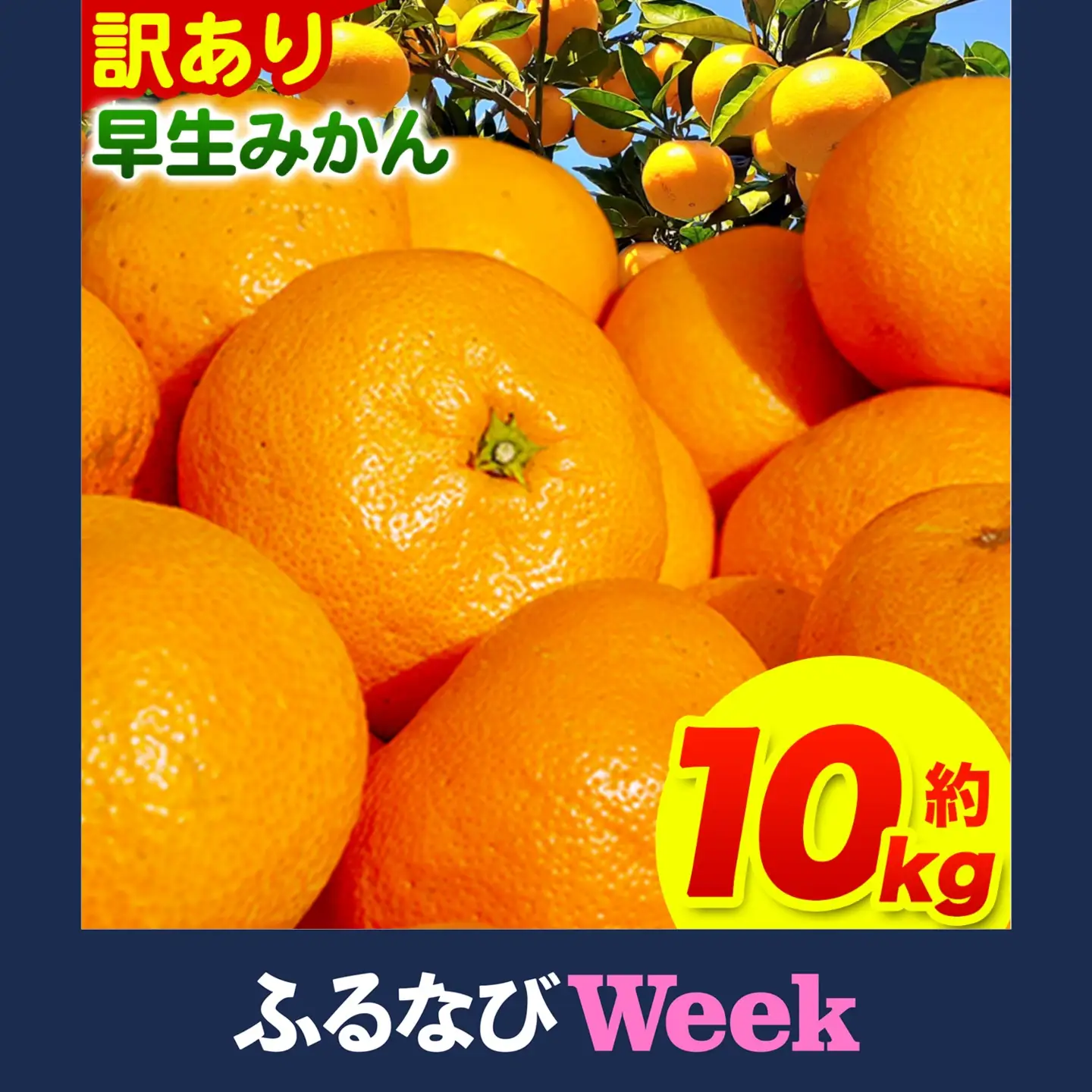 【ふるなびWEEK対象】訳あり早生みかん 10kg みかん