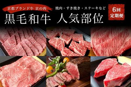 【6回定期便】訳あり牛肉 人気部位 牛肉