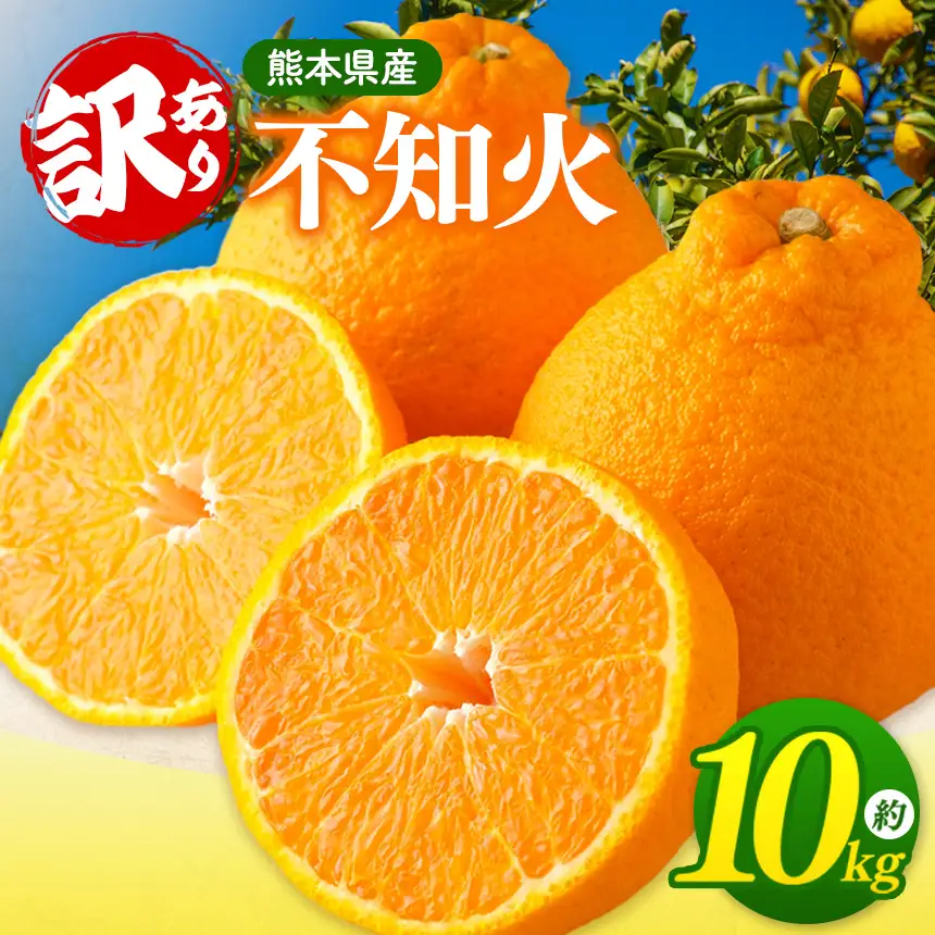 ご家庭用 訳あり 】 不知火 10kg | 熊本県玉名市 | ふるさと納税サイト