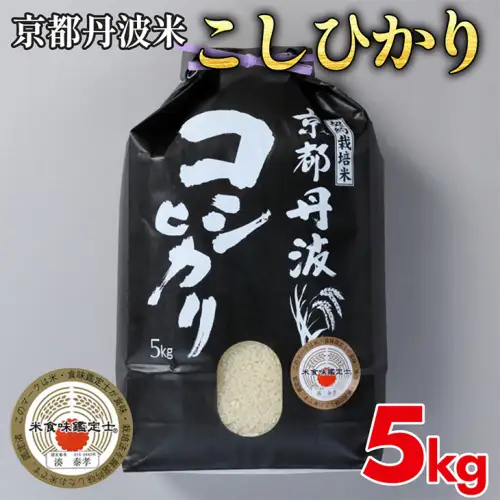 米 コシヒカリ 5kg 精米 白米