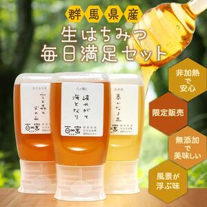 群馬県産「生はちみつ」毎日満足セット【蜂蜜 ハチミツ ギフト 詰合せ 詰め合わせ おすすめ 群馬県 長野原町 北軽井沢】