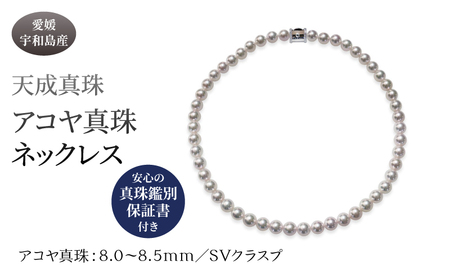 アコヤ真珠 ネックレス 8.0-8.5mm 天成真珠 鑑別書付 宇和島真珠 アコヤ真珠 本真珠真珠真珠 国産真珠 真珠 A1060-114003
