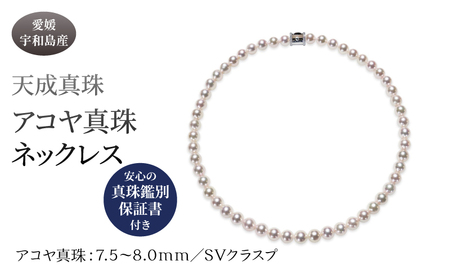 アコヤ真珠 ネックレス 7.5-8.0mm 天成真珠 鑑別書付 宇和島真珠 アコヤ真珠 本真珠真珠 国産真珠真珠真珠 A795-114004
